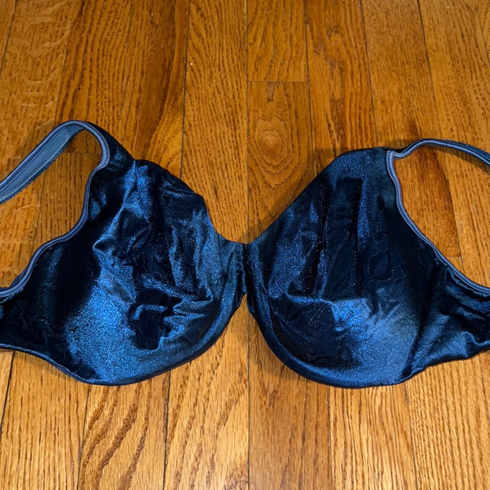 Blue Bali bra, appears to be 40D.